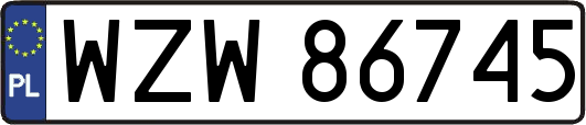 WZW86745