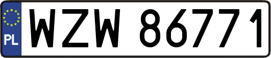WZW86771