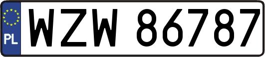 WZW86787