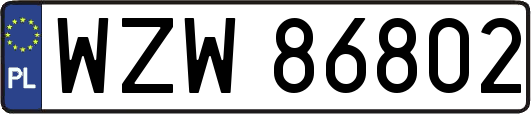 WZW86802