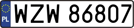 WZW86807