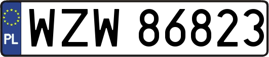 WZW86823