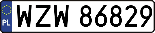 WZW86829