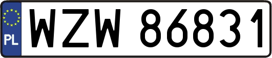 WZW86831