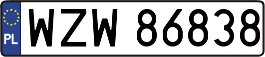 WZW86838