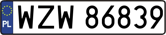 WZW86839