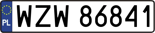 WZW86841