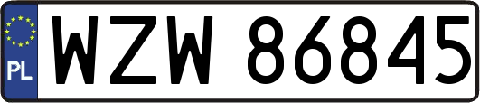 WZW86845