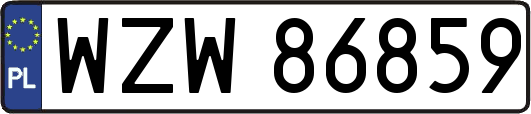 WZW86859