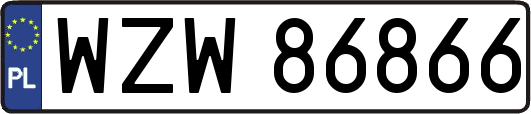WZW86866