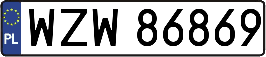 WZW86869