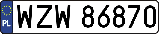 WZW86870