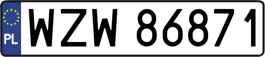 WZW86871