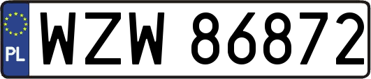 WZW86872