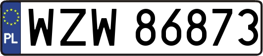 WZW86873