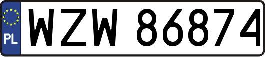 WZW86874