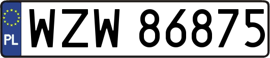 WZW86875