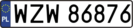 WZW86876
