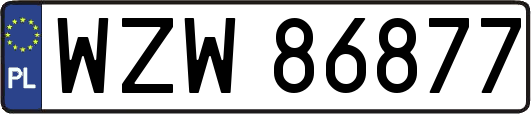 WZW86877