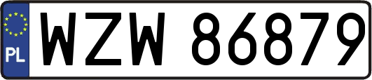 WZW86879