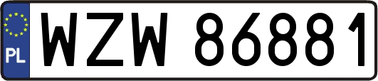 WZW86881