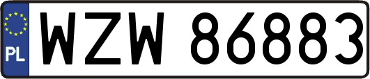 WZW86883