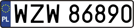WZW86890