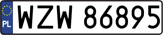 WZW86895