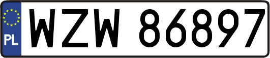 WZW86897