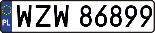 WZW86899