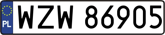 WZW86905