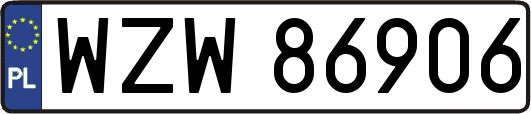 WZW86906