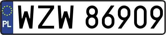 WZW86909