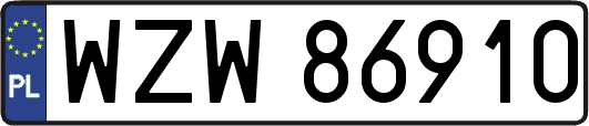 WZW86910