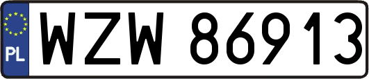 WZW86913