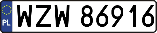 WZW86916