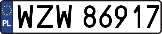 WZW86917