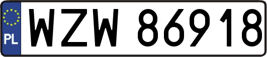 WZW86918