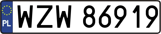 WZW86919