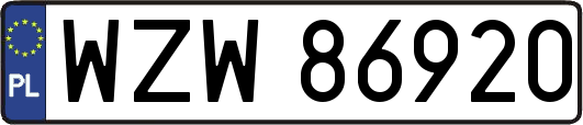 WZW86920