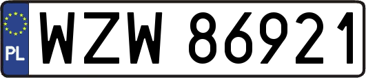 WZW86921