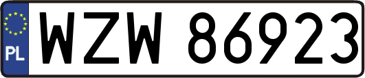WZW86923