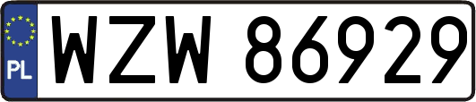 WZW86929