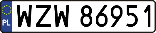 WZW86951