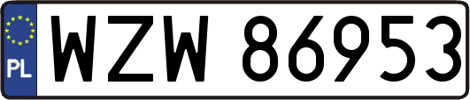 WZW86953