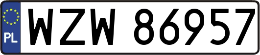WZW86957