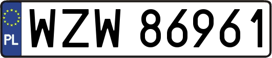 WZW86961