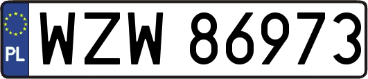 WZW86973