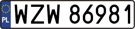 WZW86981