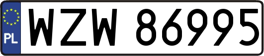 WZW86995